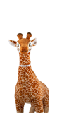 Ark Encounter Giraffe Plush: Gloria: Medium