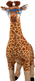 Ark Encounter Giraffe Plush: Junior: Jumbo