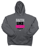 Faith Like Noah Hoodie: Gray XL