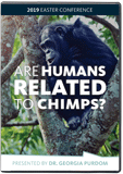 Answering Atheists: Are Humans Related to Chimps?