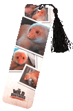 Wild Brothers Bookmark (10 Pack)
