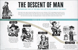 Descent of Man Wall Chart: PDF download