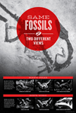 Same Fossils, Two Different Views: PDF download