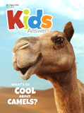 Kids Answers Mini-magazine - Vol. 15 No. 3: PDF
