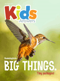 Kids Answers Mini-magazine - Vol. 12 No. 4: PDF