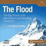 The Flood: Audio download