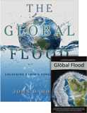The Global Flood Combo