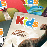 Kids Answers Magazine Set: 15 Issues