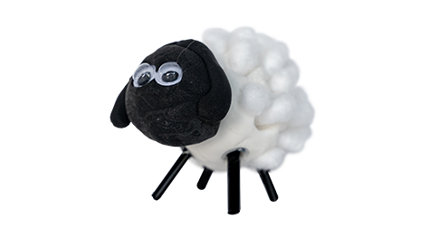 Baa-loved Sheep